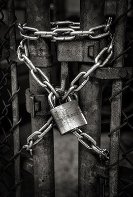 Featured Image