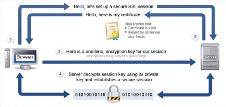 What Is a Server Certificate? SSL/TLS and Client Certificates Explained